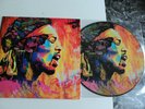 JIMI HENDRIX - PURPLE HAZE - VINILE - LP 33 GIRI - 12