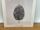 roo panes Little Giant Vinyl