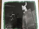 Sports Team - Electric Ballroom Camden 22 March 2019  Live 12”  Vinyl Lp Sealed