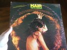 The 31 Flavors Hair Rare Hard Heavy Psych Rock LP Original 1969 Firebirds Garage