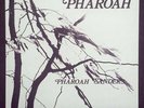 Pharoah Sanders – Pharoah Vinyl LP * India Navigation * (Like New)