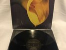 2014 Swans The burning World Vinyl Record Lp Black Vinyl Press Seer Industrial