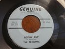 THE TRIUMPHS - LOVIN' CUP / It's So Easy Garage Rock 45 rpm Genuine 152