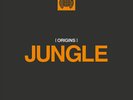 VARIOUS - ORIGINS OF JUNGLE - MINISTRY OF SOUND 2 x VINYL LP NEW (17TH JULY)