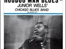 JUNIOR WELLS sealed HOODOO MAN BLUES Delmark #612 1966 LP with Buddy Guy