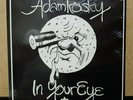 Adamkosky - In Your Eye 1973 US Coronet LP Private Loner Folk Holy Grail NM