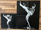 DAVID BOWIE-The Man Who Sold The World  LP Vinyl  1971 with Poster