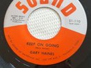 Gary Haines - Keep On Going