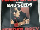 Nick Cave and the Bad Seeds TENDER PREY original 1988 VINYL