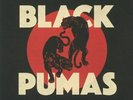 BLACK PUMAS - Black Pumas (Love Record Stores 2020) - Vinyl (LP)