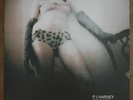 PJ Harvey, This Is Love, 7