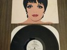 LIZA MINNELLI live at carnegie hall, ANDY WARHOL COVER ART, 1981 *missing 2nd lp