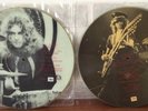 LED ZEPPELIN - 2LP Picture Discs - IN CONCERT