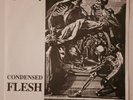 Void ?– Condensed Flesh DC Punk Dischord, Faith, Minor Threat, Misfits, KBD
