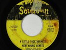 Northern/Sweet Soul 45 - New Young Hearts - A Little Togetherness - Soultown