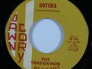 Instr Surf Tittyshaker 45 TRADEWINDS Gotcha DAWN CORY HEAR