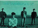 RARE THE CHAMELEONS UK - TEARS 1986 PROMO VINYL 12