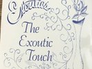 THE EXOUTICS - Exoutic touch - lp rare SOUL FUNK SEALED ORIGINAL RARE