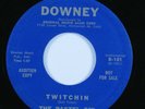 Instr Surf Tittyshaker 45 PASTEL SIX Twitchin DOWNEY NM promo HEAR