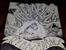 Ryan Adams and The Cardinals Cardinology Vinyl LP Autographed