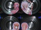 Tool - Lateralus 614223116013 (Vinyl Used)
