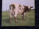 PINK FLOYD - ATOM HEART MOTHER - GATEFOLD - UK A-4/ B-6 -  superb copy.