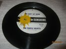 THE PURPLE HEARTS: YOU CAN'T SIT DOWN/TIGER IN YOUR TANK