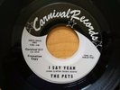 THE PETS I SAY YEAH WEST SIDE PARTY CARNIVAL 511 GEORGE CLINTON SOUL 45 NOS M
