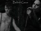 She Past Away - ?Belirdi Gece LP Vinyl Album Goth Darkwave Record REMASTERED NEW