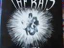 THE RATS*THE RISE AND FALL OF BERNIE GRIPPLESTONE...*BEAT*MOD*TENTH PLANET