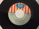 Cherry Slush Don’t Walk Away I Cannot Stop You VG+ U.S.A. garage psych