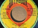 ISRAEL VIBRATION / 12 TRIBES BAND   Why Worry / Dub ORIG JA. ISSUE EX/VG 45