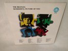 The Beatles Vinyl Album Wonderful Picture of You 2 LP set Fan Club