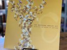 The American Analog Set- Everything Ends In Spring EP (Ruined Potential Records)