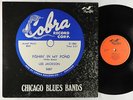 V/A - Fishin' In My Pond LP (Chicago Blues Bands) - Flyright UK Mono VG+