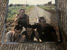 Combat Rock by The Clash LP Vinyl Record