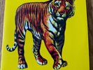 SPEED GLUE & SHINKI Chen 2nd 2-LP Phoenix Records hard heavy psych rock JAPAN