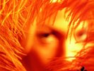 Stone Temple Pilots-Shangri La Dee Da Vinyl / 12