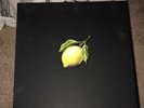 Beyonce ?– How To Make Lemonade (2017) Parkwood Ent. Deluxe Box Set rare NEW