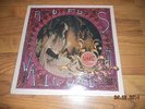Rufus Wainwright - Want Two LP vinyl record sealed NEW RARE OOP