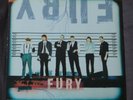 Fury In The Slaughterhouse - Brilliant Thieves. 2LP