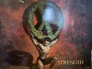 Enuff Z'nuff, Strength -90s Hair Rock, Power Pop Vinyl LP  Back To The Early 90s