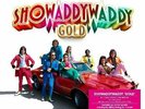 Showaddywaddy Gold Vinyl LP NEW sealed