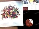 Tocotronic - Schall & Wahn GER 2LP 2010 FOC + Innerbag, Insert '