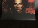 vinyl records- Bob Marley & The Wailers- Natty Dread - Original 1974 Pressing E