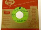 TIBBY EDWARDS 45 Flip Flop and Fly MERCURY rockabilly VG++ ORIGINAL press  Ws 67