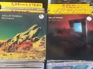 Wall Of Voodoo 2 Records: Call Of The West & Dark Continent  Vinyl Albums
