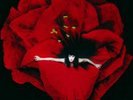 NEW  Smashing Pumpkins - Adore (2LP Reissue)