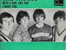 THE TROGGS 45 WITH A GIRL LIKE YOU+PS HOLLAND RARE 1966