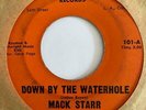 Northern Soul 45 MACK STARR Down By The Waterhole/Bundle Of Joy HEAR Chene Rare